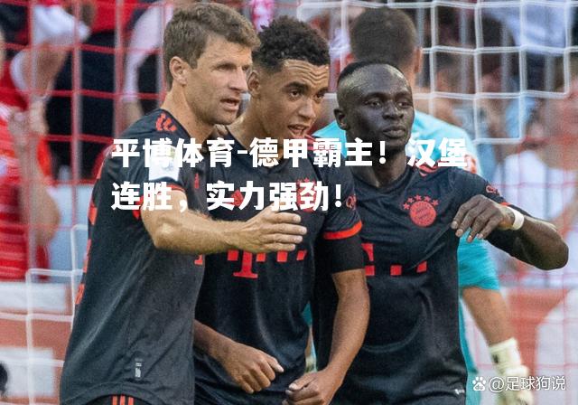 德甲霸主！汉堡连胜，实力强劲！