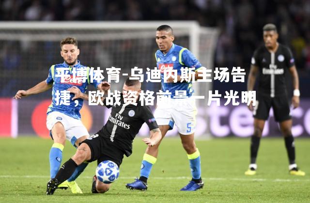 乌迪内斯主场告捷，欧战资格前景一片光明