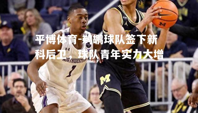 鹈鹕球队签下新科后卫，球队青年实力大增