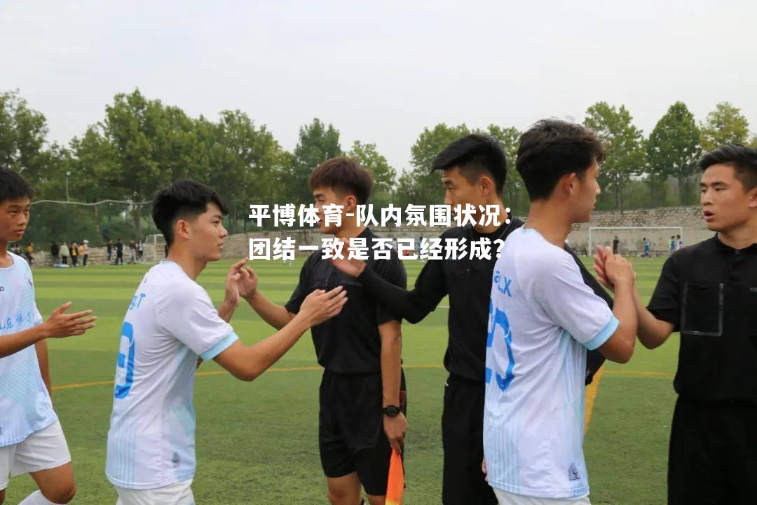 队内氛围状况：团结一致是否已经形成？