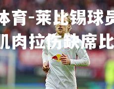 莱比锡球员施米德因肌肉拉伤缺席比赛