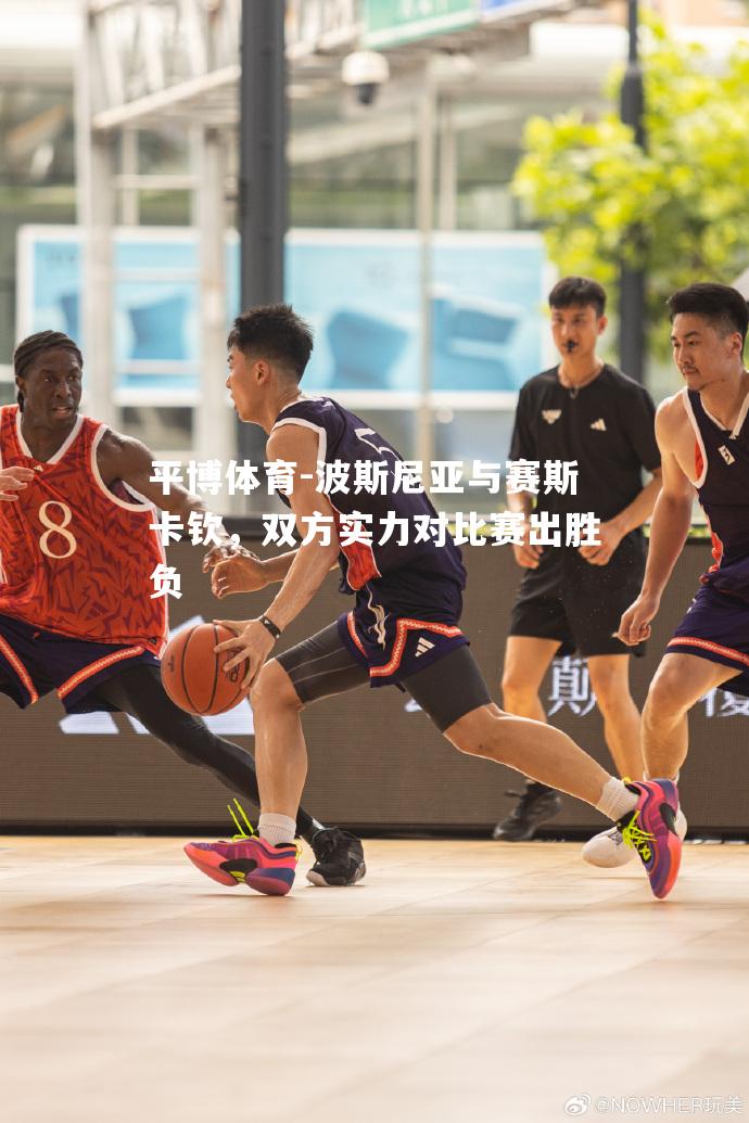 波斯尼亚与赛斯卡钦，双方实力对比赛出胜负