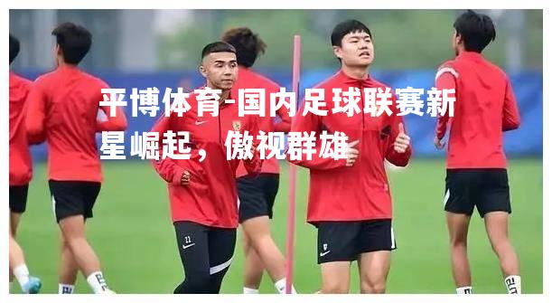 国内足球联赛新星崛起，傲视群雄